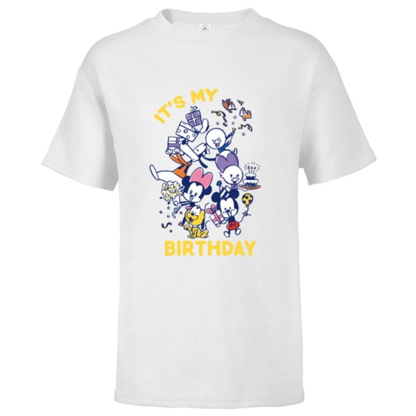 disney its my birthday shirt