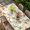 Off-White, variant on Date Coconut Tree Table Cloths for 4 Foot Rectangle Tables, Desert Camels Botanical Tropical Beige Patio Waterproof Elastic Fitted Tablecloths, Washable Rectangular Table Cover for Camping