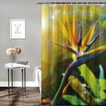 thumbnail image 2 of Orinice  Plant Shower Curtain, Close-up Image of Strelitzia Reginae Bird of Paradise Flower Madeira Island Portugal, Fabric Bathroom Decor Set with Hooks,  36x72, 2 of 7