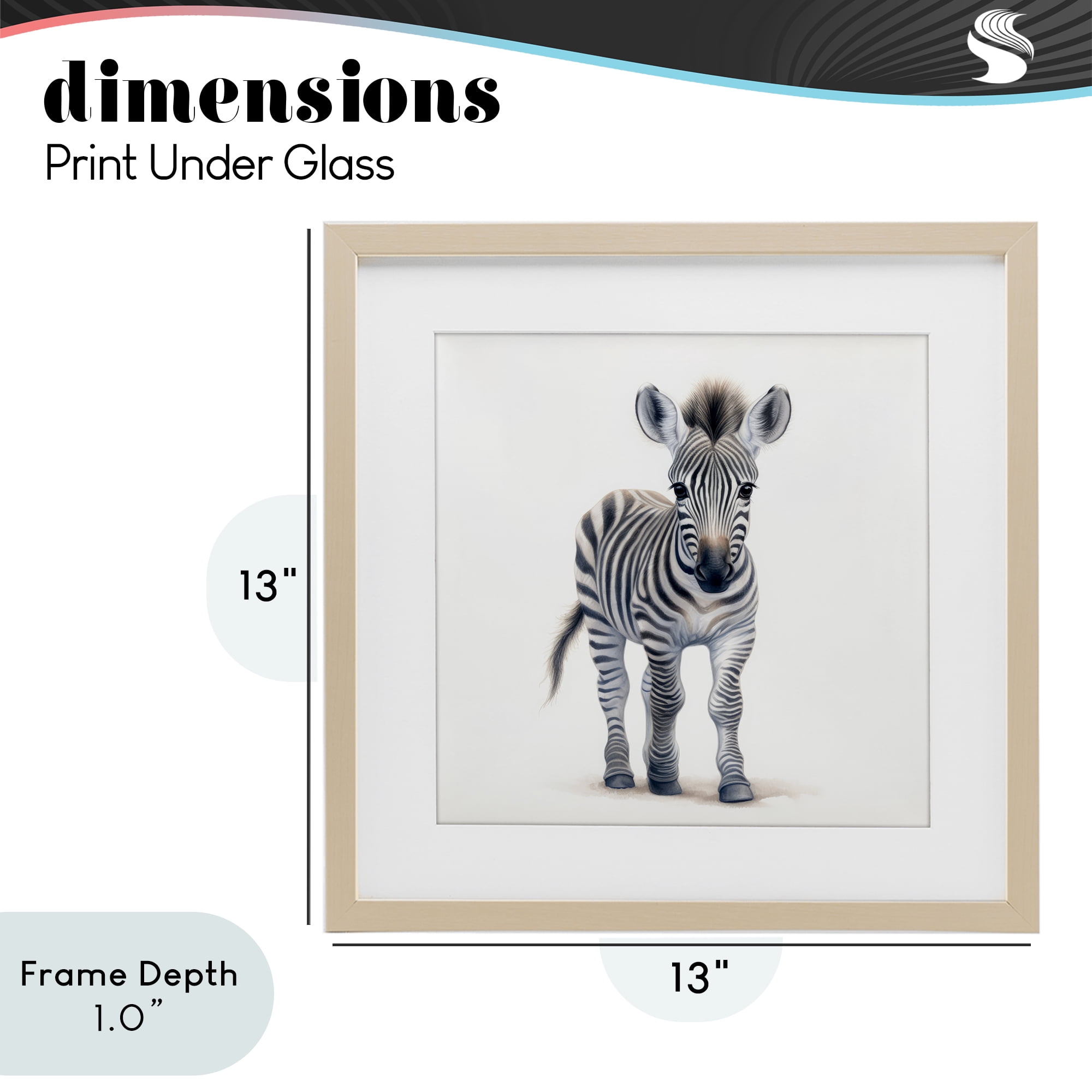 Stupell Industries Friendly Zebra Foal Birch Framed Print Under Glass, design by Ray Powers