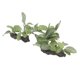 thumbnail image 2 of Decoraciones De Plantas De Acuario, 2 Piezas De Plantas Artificiales De Tanque De Peces Naturales De Alta Simulación Fina Detallada Para Tanque De Peces ANGGREK Cocina, Decoración y Otros, 2 of 5