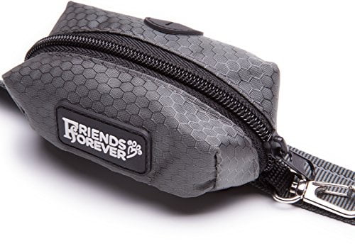 friends forever leash