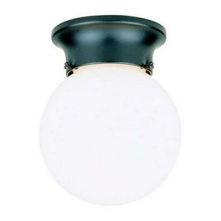 

Westinghouse Gloss Black Incandescent Light Fixture