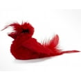 thumbnail image 3 of OurPets Play-N-Squeak Real Birds Interactive Indoor Catnip Cat Toys for All Cats with Bird Chirping Electronic Sound, 3 of 7