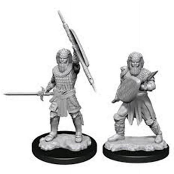 Dungeons & Dragons Nolzur`s Marvelous Unpainted Miniatures: W13 Human Fighter Male