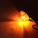 thumbnail image 4 of 2 uds luz de señal de giro para motocicleta indicador intermitente marcador lámpara ámbar luz trasera, 4 of 8