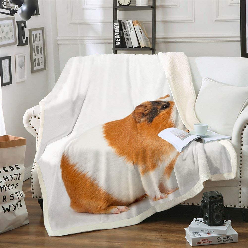 Animal Throw Blanket Little Hamster Vivid Throw Blankets for Couch Sofa