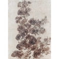 thumbnail image 3 of OToole, Tim 14x18 Black Modern Framed Museum Art Print Titled - Sepia Flower Study II, 3 of 5
