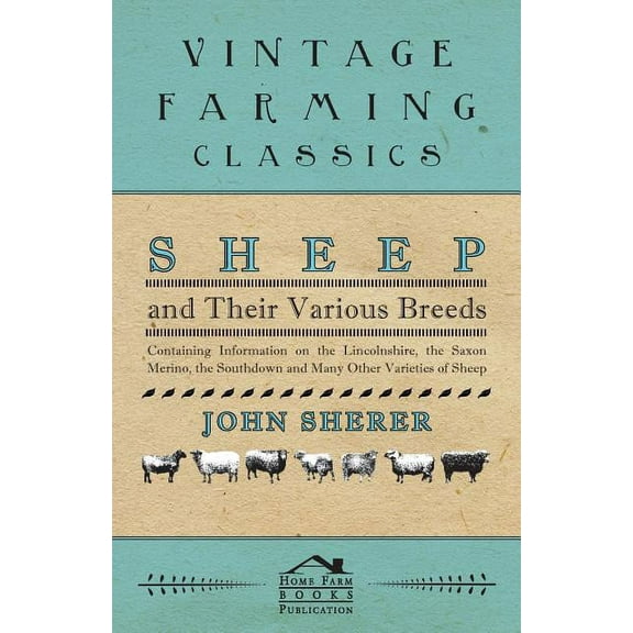 Sheep and Their Various Breeds - Containing Information on the Lincolnshire, the Saxon Merino, the Southdown and Many Other Varieties of Sheep (Paperback)
