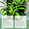 thumbnail image 3 of Brazilian Wood  Fertilizer, Lucky Bamboo Liquid Fertilizer, 2-Pack (100ml Each), 3 of 6