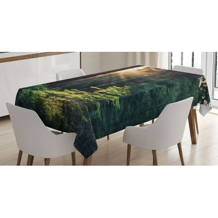 

National Parks Home Decor Tablecloth Morning Sunlight in Wilderness Yosemite Sierra Nevada Nature Art Rectangular Table Cover for Dining Room Kitchen 52 X 70 Inches Green Brown by Ambesonne