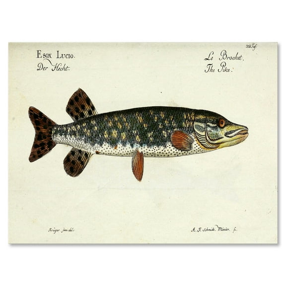 Designart ' Portrait Of A Green Fish On Beige ' Nautical & Coastal Canvas Wall Art Print