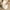 Beige BG, variant on Latrodar Desktop Trash Can Living Room Debris Bucket Car Home Desk Restaurant Storage Barrel Trash Basket Best of Both Worlds Beige 6.6x6.4 Inch Home Gadgets
