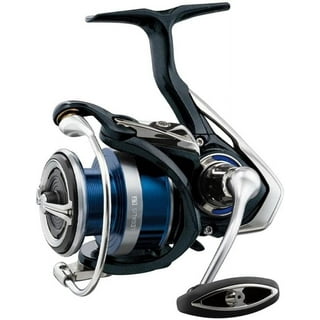 Daiwa LX-WN400PWR-P Lexa Type-WN Baitcast Reel, 400 Size, RH, 6BB (2CRBB,  4BB)