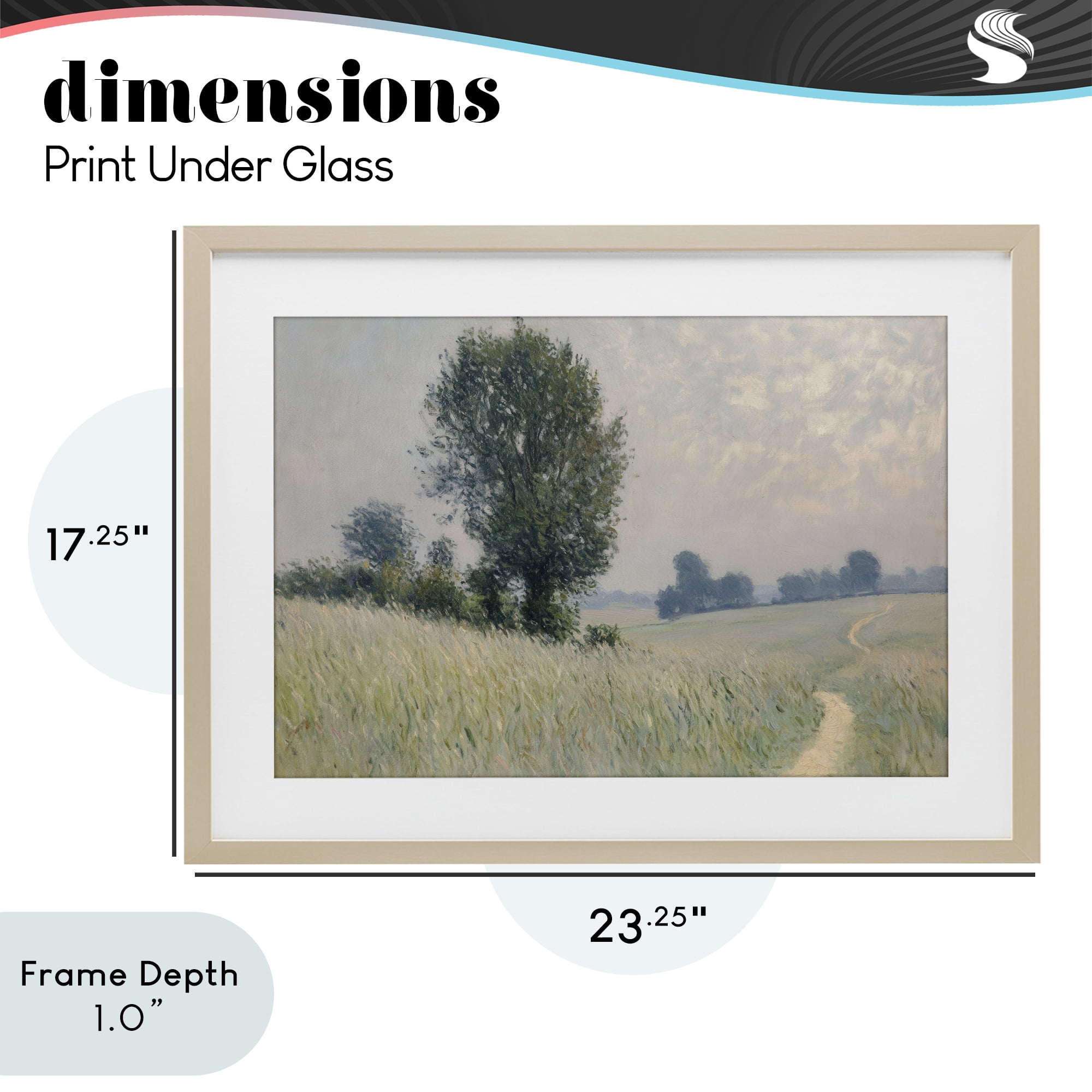 Stupell Industries Tall Grass Path Through Meadow Birch Framed Print Under Glass, design by Petal Prints Design