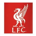 thumbnail image 3 of Liverpool FC Fade Mug, 3 of 3