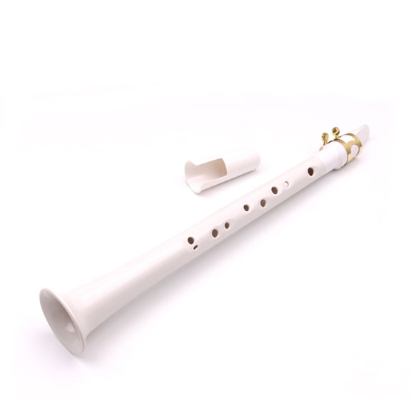 CTIRCHIU Portable Saxophone for Kids and Beginners, Handmade Lightweight Woodwind Instrument, Easy to Play Little Saxophone