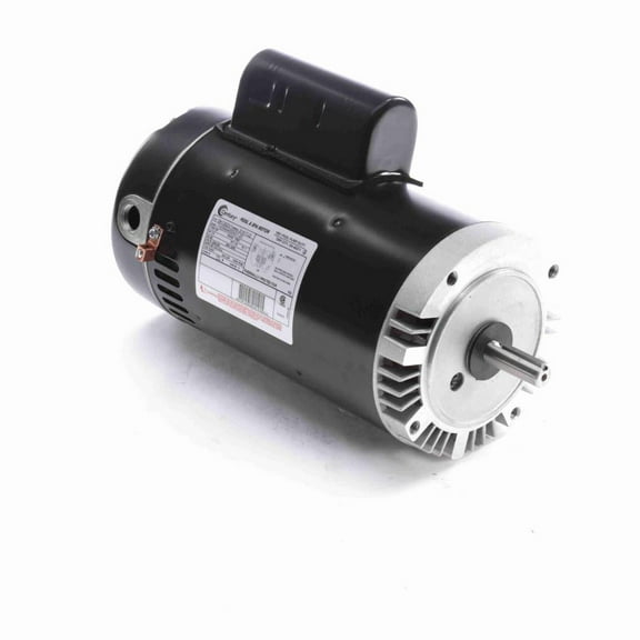 Century SK1302V1 3.0HP Induction Pool Pump Motor