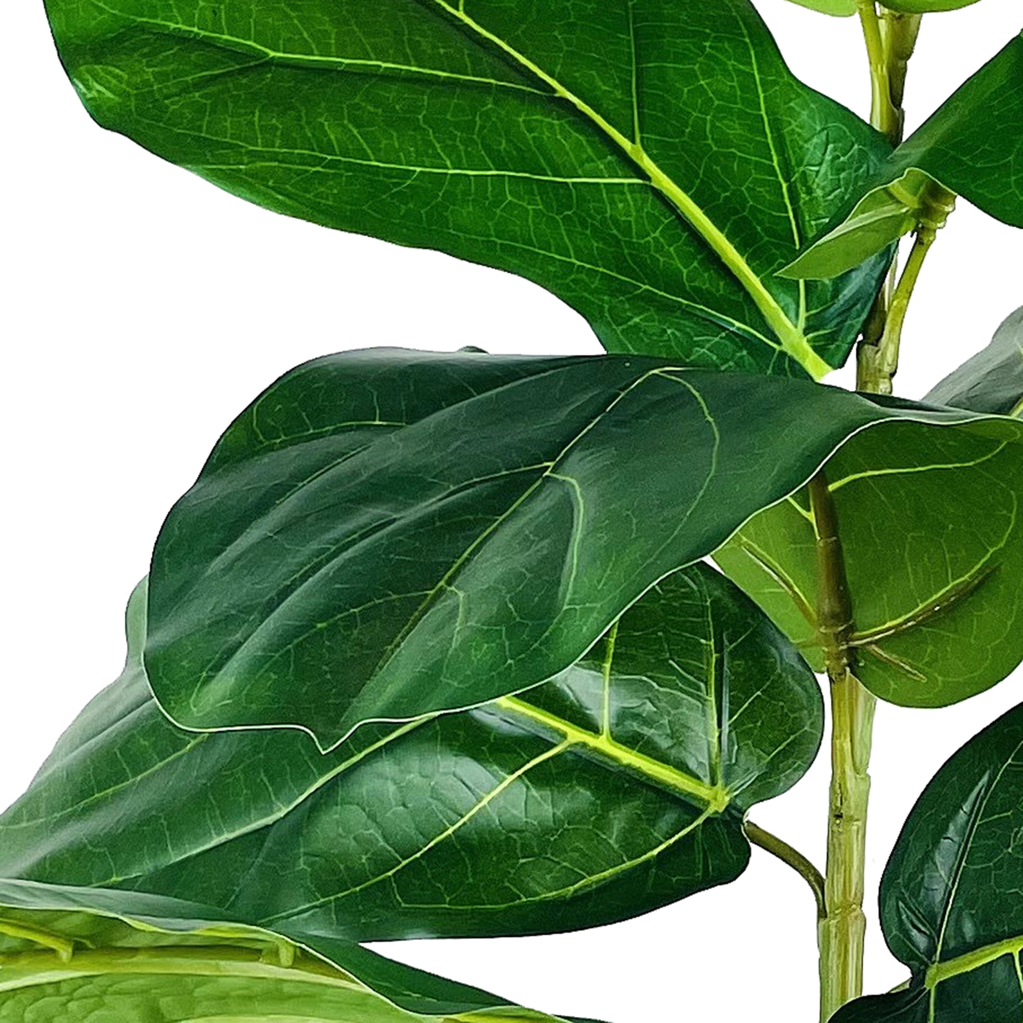 (2 pack) Mainstays Artificial Plant, Fiddle Leaf Fig Plant, 3.33 ft, Black Plastic Grower's Pot