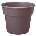thumbnail image 1 of Bloem 8in Dura Cotta Planter Exotica DC8-56, 1 of 1
