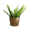 thumbnail image 1 of QualitChoice Pots de Fleurs en Herbe de Mer avec Poignée Pot de Fleurs Tissé Intérieur Conteneur de Rangement pour Jouets Décoration de Mariage Jardins, 1 of 1