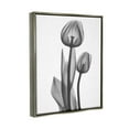 thumbnail image 3 of Stupell Industries Contemporary Transparent Tulip Graphic Art Luster Gray Floating Framed Canvas Print Wall Art, Design by Albert Koetsier, 3 of 6