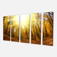 thumbnail image 2 of Yellow Autumn Forest in Sunlight - Forest Canvas Art Print, 2 of 3