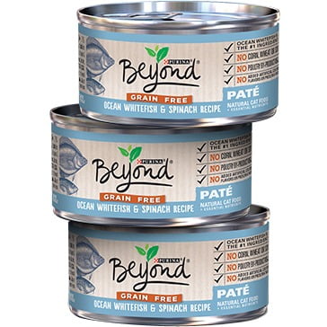 Purina Beyond Paté Grain Free Ocean Whitefish & Spinach Recipe Wet Cat Food