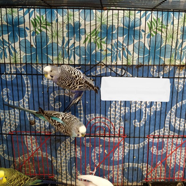 IDEANATEGRATE 6Pcs Parrot Feeding Box Plastic Bird Feeder for Cage White Easy Install and Clean