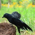 thumbnail image 5 of EFINNY Halloween Black Plastic Feathered Raven Crow Bird Decoration, 5 of 6