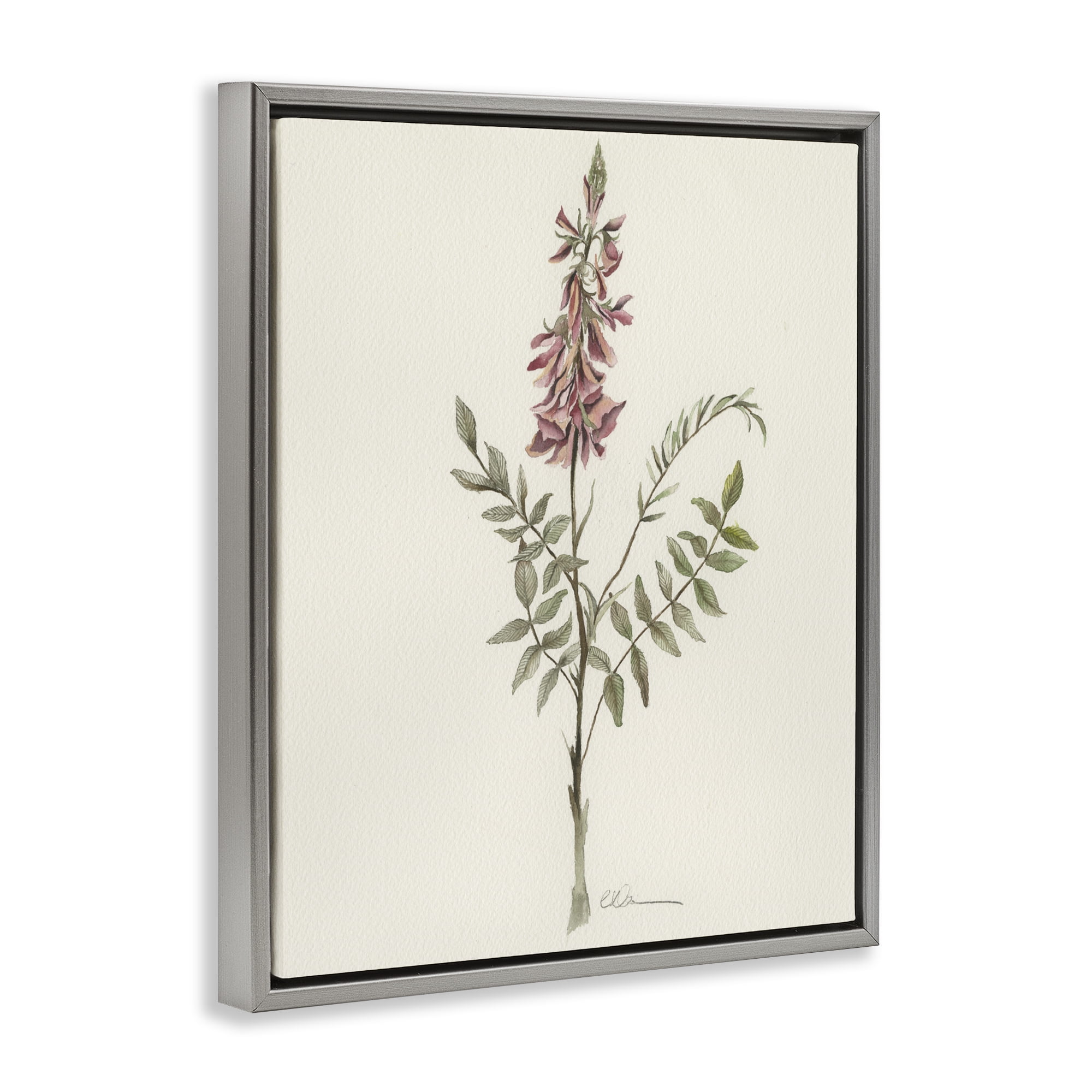 Stupell Industries Nature's Delicate Herb Sprig Gray Framed Floater Canvas Wall Art, design by Cady Driver