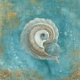 thumbnail image 2 of Treasures from the Sea III Aqua Poster Print by Danhui Nai (12 x 12), 2 of 2