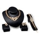 thumbnail image 1 of Conjunto de joyería para mujer, dama, boda, fiesta, diamantes de imitación, collar, pendientes, anillo, pulsera, 1 of 14