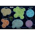 thumbnail image 4 of USAOPOLY Risk Rick and Morty Risk Game | Based on The Popular Adult Swim TV Show Rick & Morty | Official Rick and Morty Merchandise | Classic Risk Board Game Themed for Rick Morty Series, 4 of 5