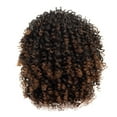 thumbnail image 2 of Fiudx Peluca Afro, Peluca Rizada En Gorro Ajustable, Peluca de Fibra Sintética Resistente Al Calor, para Uso Diario, Estilo Femenino, Peinado Duradero., 2 of 7