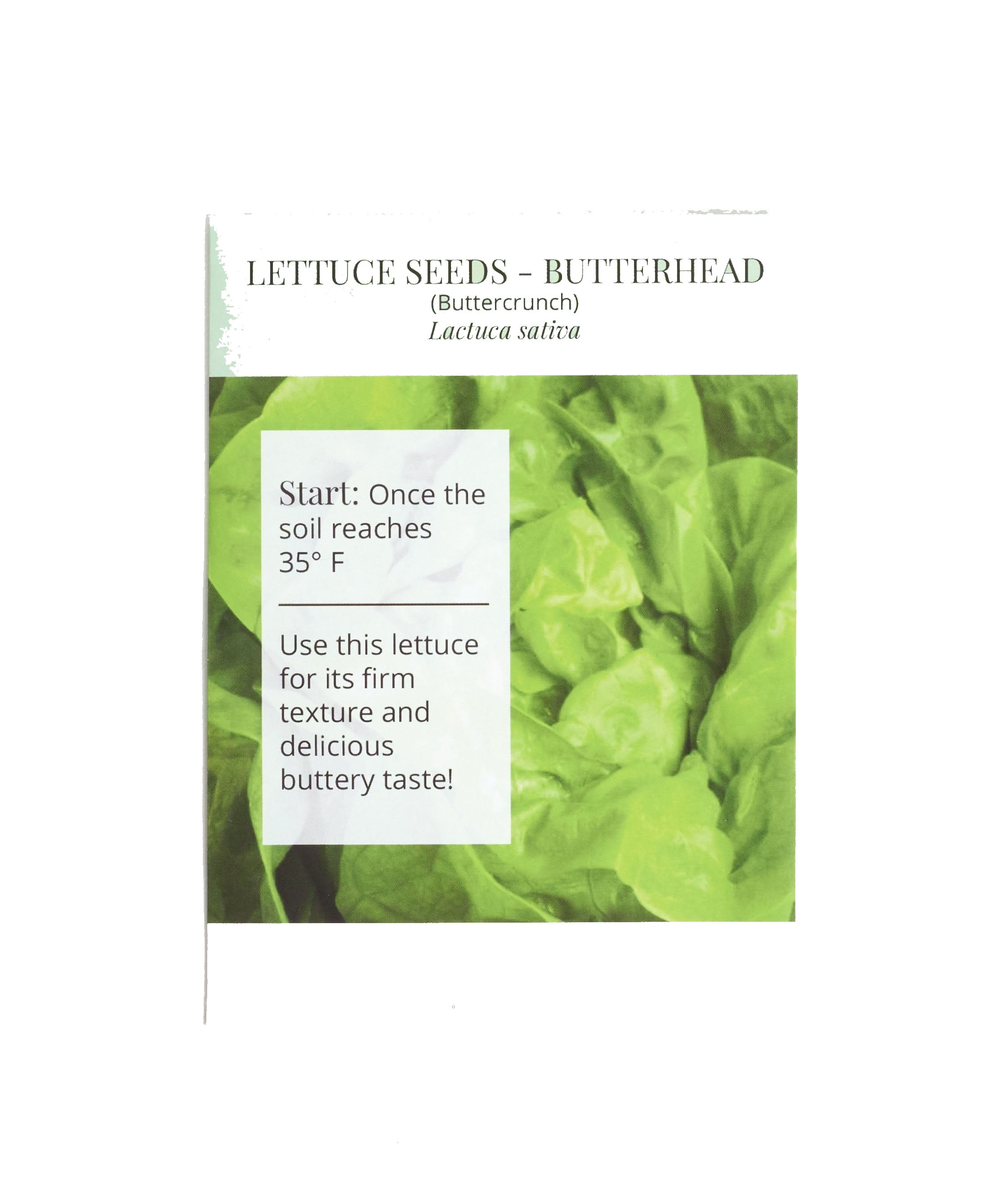 Butterhead Lettuce Seeds