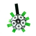 thumbnail image 2 of Juguete de pelota de fútbol ANGGREK Balón de fútbol para perros ligero alta resistencia, 2 of 8