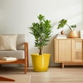 thumbnail image 7 of 12 inch Ceramic Planter, Extra Large Round Flower Pots with Drainage, Elegant Pot for Indoor Trees, for Glamorous Home Decor, Light Yellow, 7 of 7
