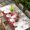 Red LightGreen, variant on Red Gnomes Table Cloths for 3 Foot Rectangle Tables, Valentine Roses Leaves Love Beige Rustic Patio Waterproof Elastic Fitted Tablecloths, Washable Rectangular Table Cover for Camping