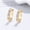 Yellow Gold, variant on S925 Sterling Silver Paved Zirconia Arch Earrings, Full Diamond Hoop Earrings