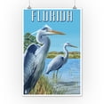 thumbnail image 2 of Florida, Blue Herons in grass (12x18 Wall Art Poster, Room Decor), 2 of 3