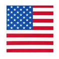 thumbnail image 3 of Birdeem Independence Day Party Tableware Tablecloth Paper Cups Tissue Knife Fork Spoon Party Props Decoration Set, 3 of 10