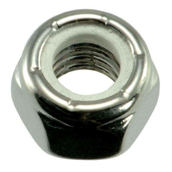 5/16"-18 Polished 18-8 Stainless Nylon Insert Lock Nuts (6 pcs.)