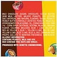 thumbnail image 4 of M&M's Classic Mix of Peanut, Peanut Butter & Milk Chocolate Candy, Sharing Size 8.3oz (2 pack), 4 of 4