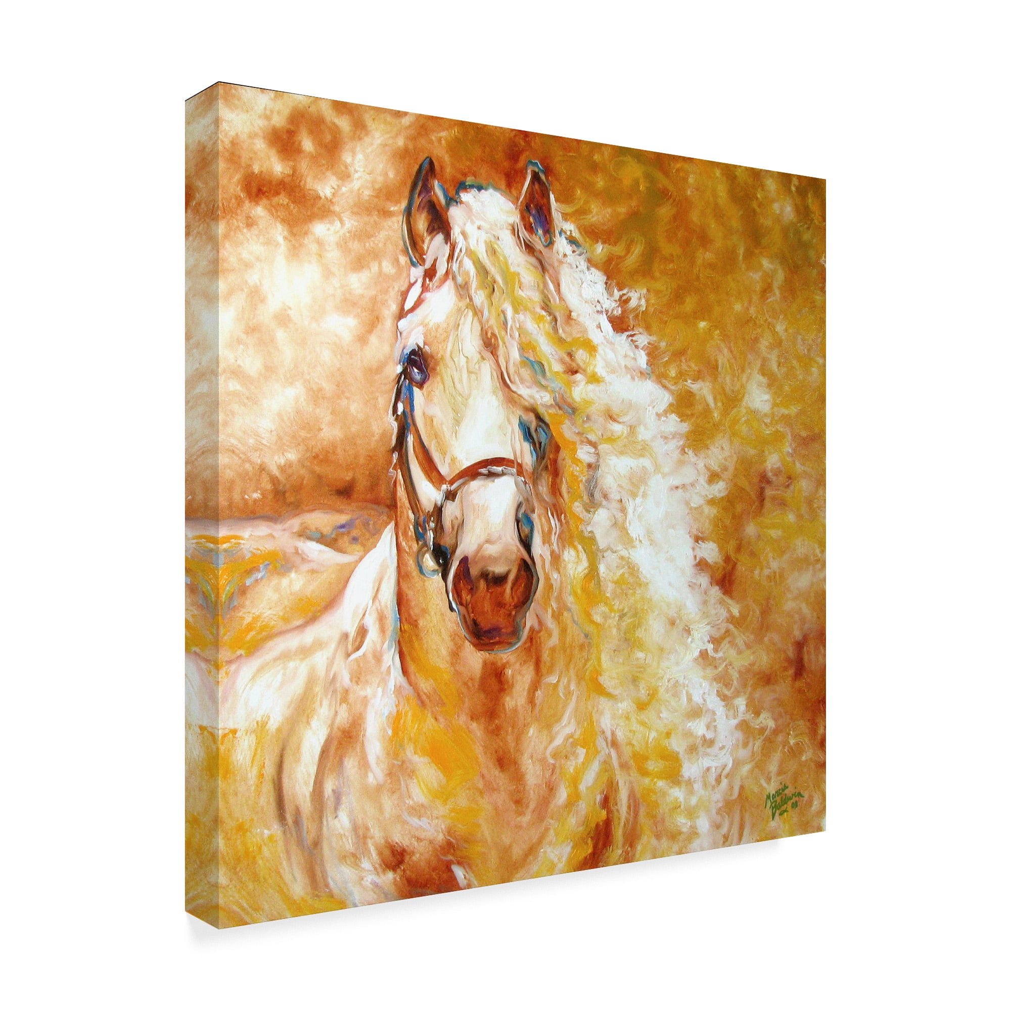 Trademark Fine Art 'Golden Grace Andalusian Equine' Canvas Art by Marcia Baldwin