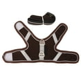 thumbnail image 4 of YIXIGGC Cat Mesh Vest Harnesses and Leash Escape Proof Adjustable Reflective Cat Walking Jackets for Walking Jogging Training Coffee L XC921-25744, 4 of 9