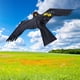 thumbnail image 5 of Kite de pájaros Bird Scarer Kite Scarecrow Pigeon Decoy  negro Cola repelente de aves, 5 of 8