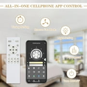 20 Gold Flush Mount Reversible Ceiling Fan with APP Control, 6-Speed Low Profile Ceiling Fan with Light and Remote