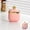 Pink, variant on Clearance Tableware under $15 Ceramic Sugar Bowl Container With Lid And Spoon Seasoning Box Ceramic Condiment Pot Condiment Jar For Coun