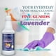 thumbnail image 4 of Limpiador doméstico Natural Riches Five Guards, 473 ml, lavanda, 4 of 6